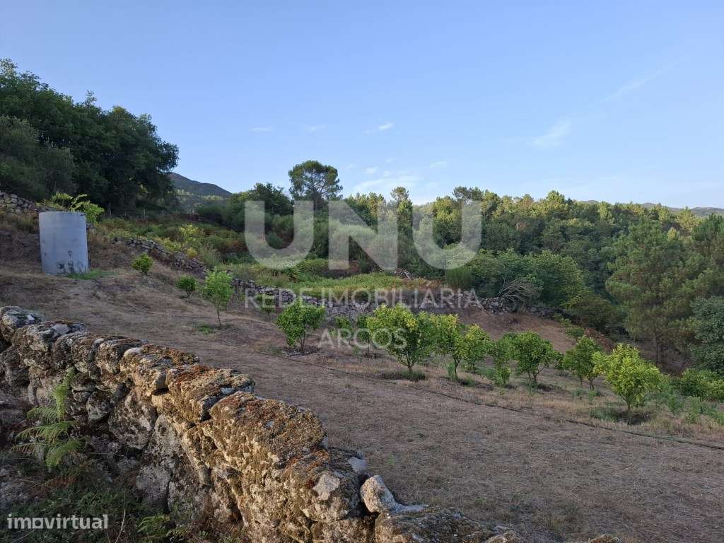 Terreno Rústico em Vilarinho das Quartas, Soajo-9