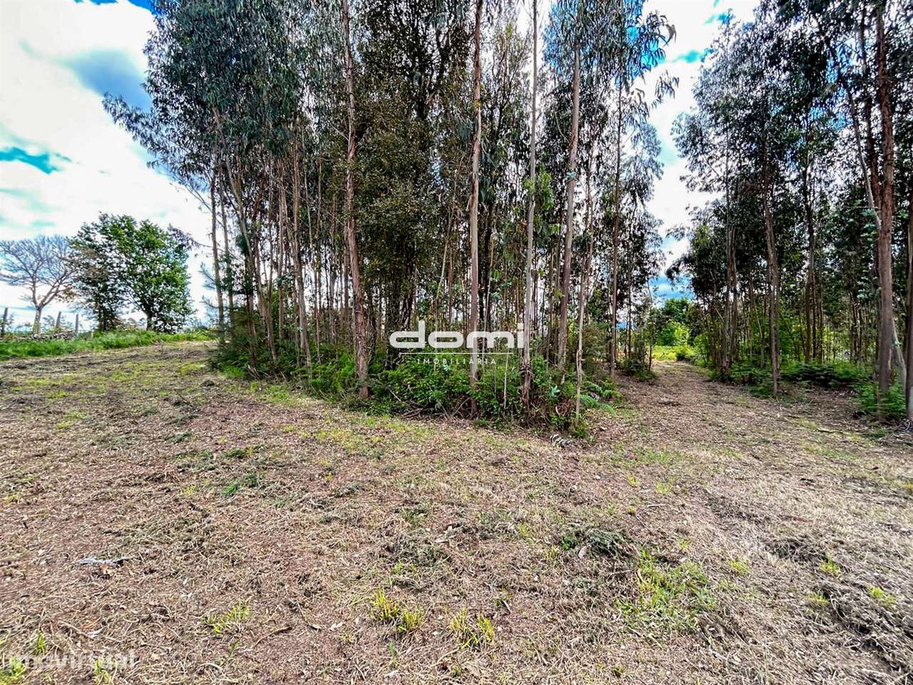 Terreno construtivo em Lourosa - Santa Cruz da Trapa. - Grande imagem: 5/14