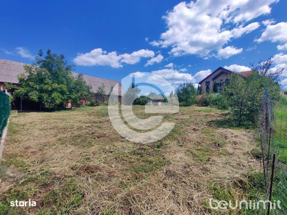 Teren intravilan Sura Mare - 578 Mp - PUZ aprobat si toate utilitatile-3