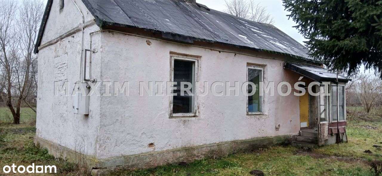 Działka 2000m² z domem. Media, 1h do Warszawy - Pełny obrazek: 3/15