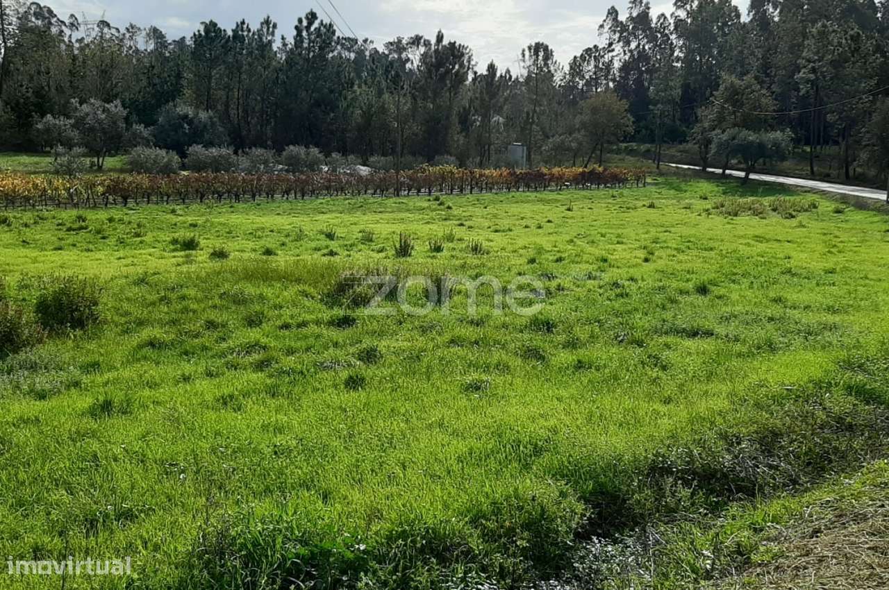 Terreno com comunicação de viabilidade urbanística - Grande imagem: 5/10