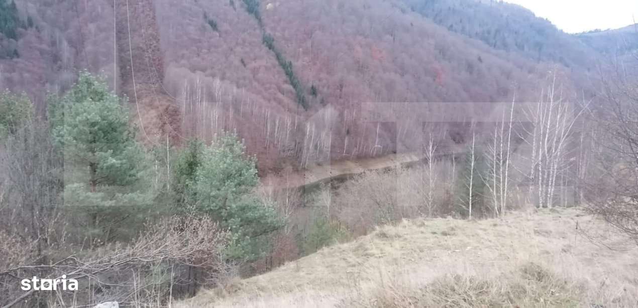 Teren 14 ha compact langa Lacul Tau Bistra - Imagine principală: 2/7