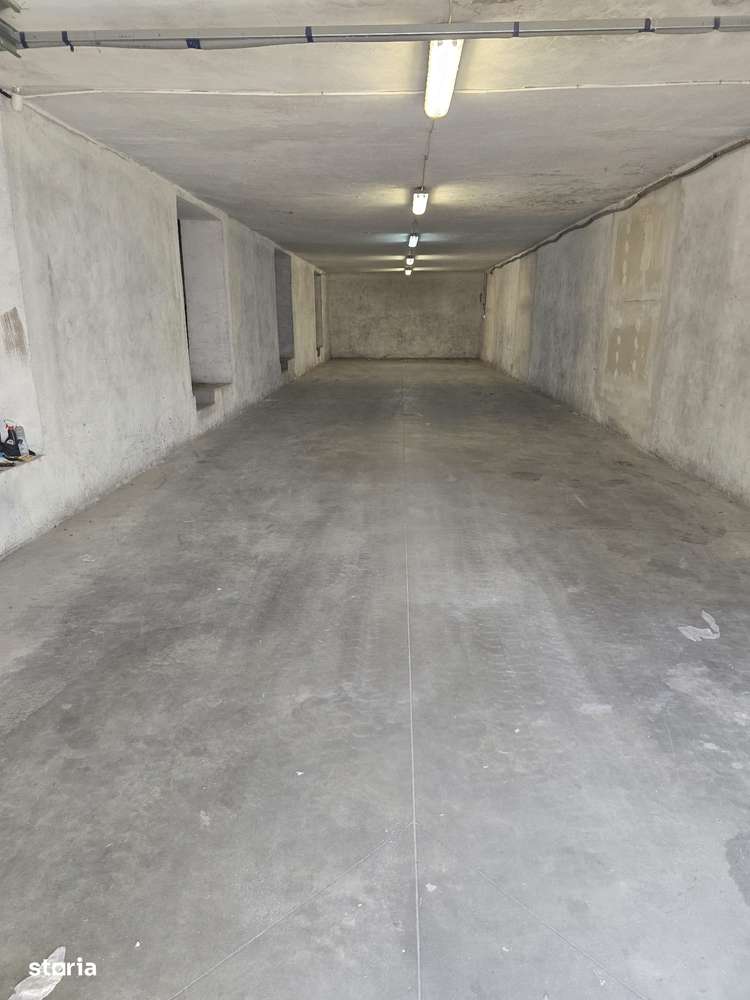 Hala depozitare sau mica productie, zona Zizinului, 400mp-0