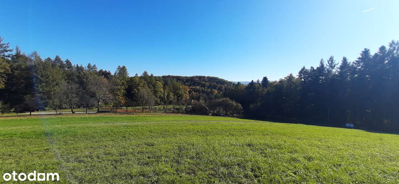 Działka w Izdebniku, dojazd, słońce - Pełny obrazek: 4/9