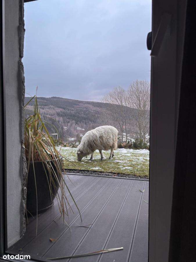 Apartament z zielonym tarasem, sauna, narciarnia, widoki, przy stoku-10