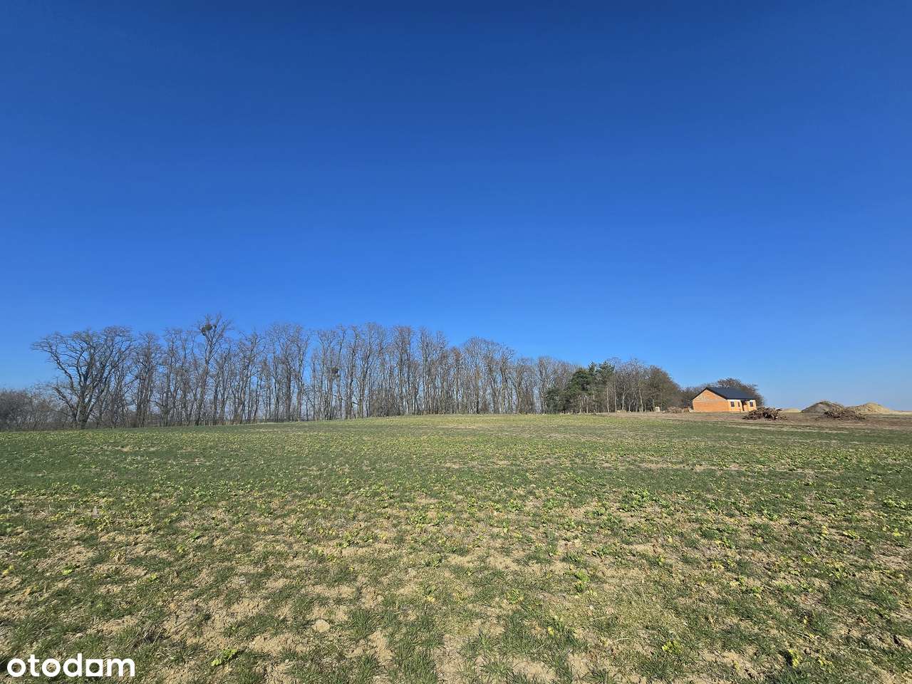 3 z 7 działek budowlanych w Lubiatówku-3
