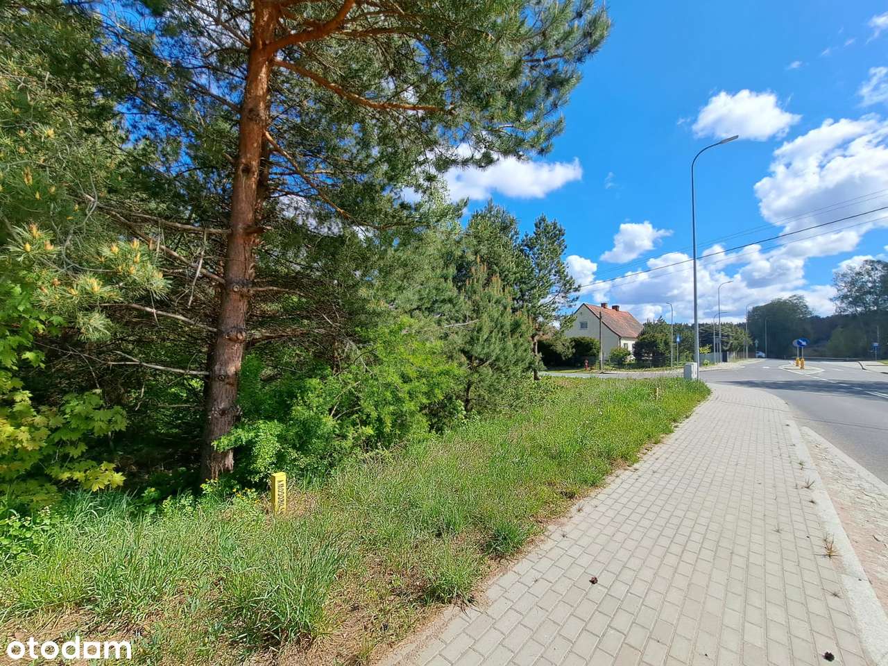 Działka we Wrzesinie- 18km od Olsztyna - Pełny obrazek: 4/6