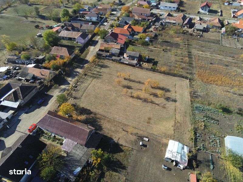 Persoana fizica, vand teren intravilan 3000mp Loc. Sambateni Jud. Arad - Imagine principală: 5/6