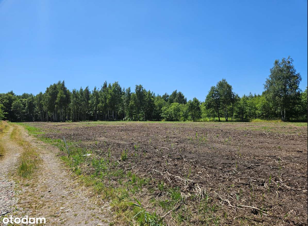 Działka z koncepcją zabudo. PUM 5 645,84 Blizniaki, szeregówki-Tramwaj-5