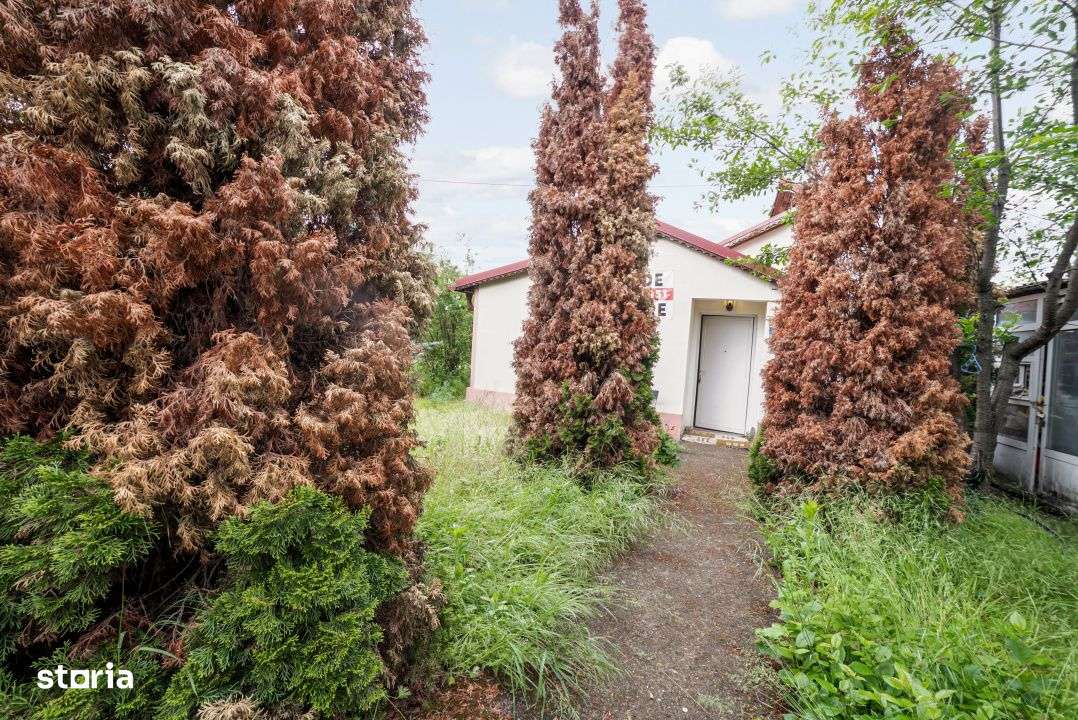 Teren de vanzare*Gradistea - Imagine principală: 1/15