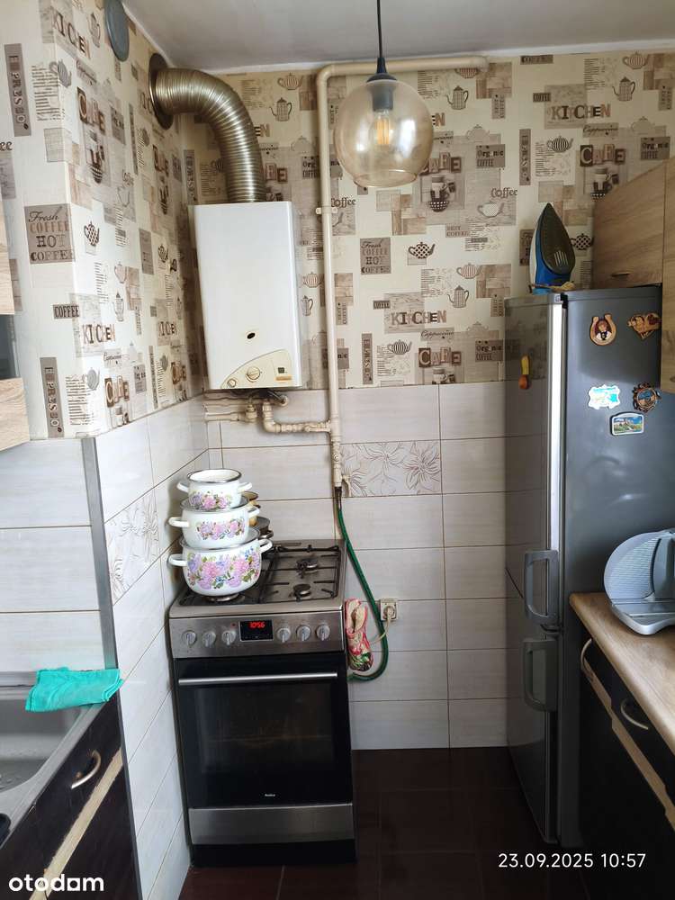 Syndyk sprzeda - Pełny obrazek: 4/10