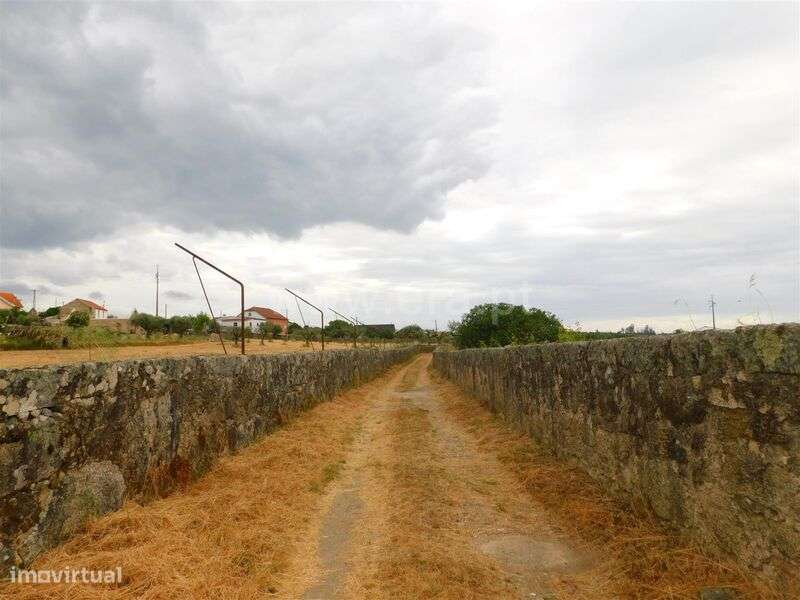 Quinta / Seia, Tourais e Lajes - Grande imagem: 5/20