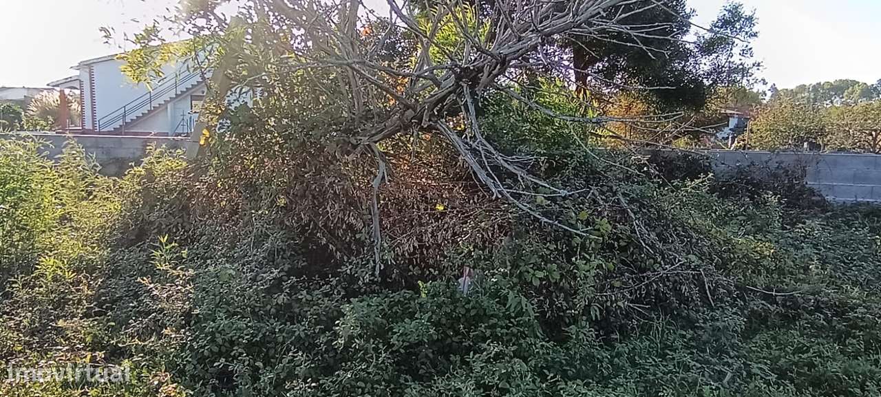 Terreno urbanizável, em zona calma em Pataias-5