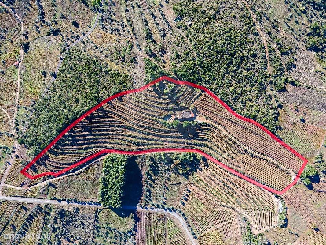 Terreno  para venda - Grande imagem: 3/26