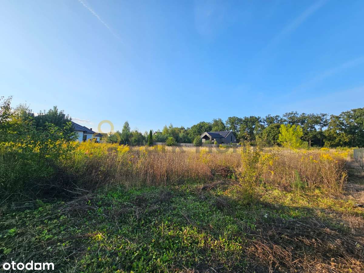 Działka w Zbrudzewie - blisko lasu I  Mpzp !!  I - Pełny obrazek: 2/8