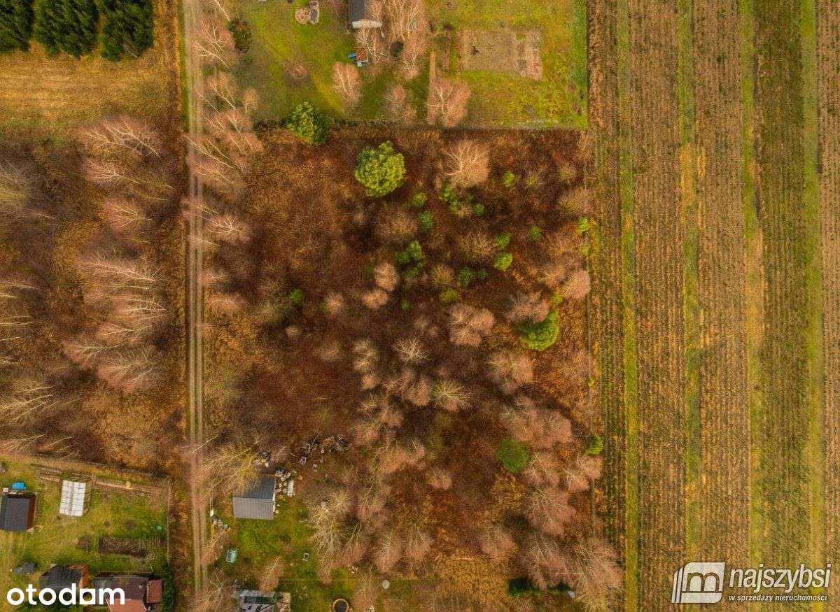 Stawno - działka w cichej okolicy - Pełny obrazek: 4/13