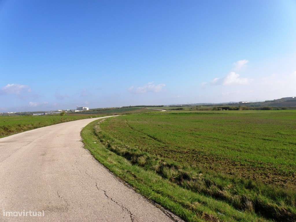 Venda de 2 Terrenos Agrícolas na zona do Paimogo, Lourinhã-13