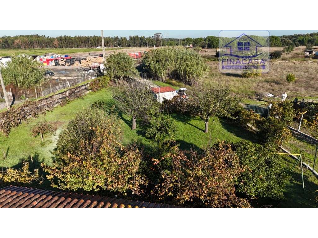 EXCLUSIVO - Quinta com 2069 m2, T1 e um armazém - Asseiceira(Palmela)-50