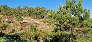 Terreno em Mafra de 5857,00 m2 - Grande imagem: 5/26