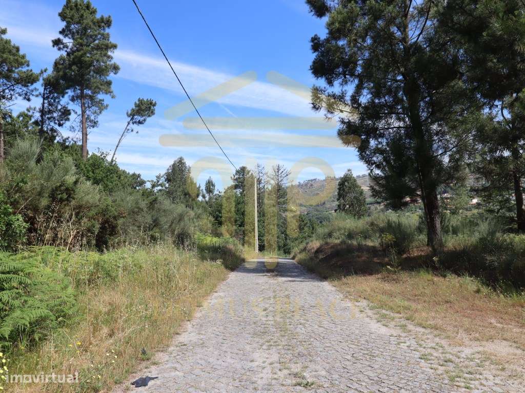 Terreno com 17.800 m², Casa para Reconstruir e mina de Água - Soalh...-25