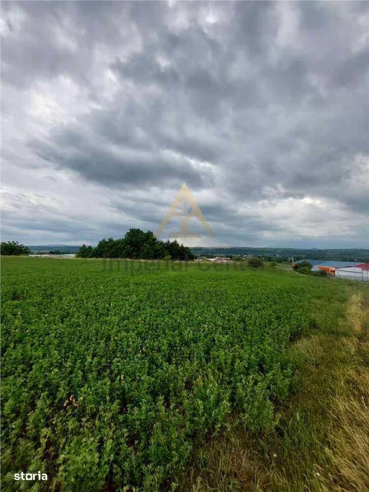 Teren intravilan de vanzare in Tg Trotus - Imagine principală: 4/8