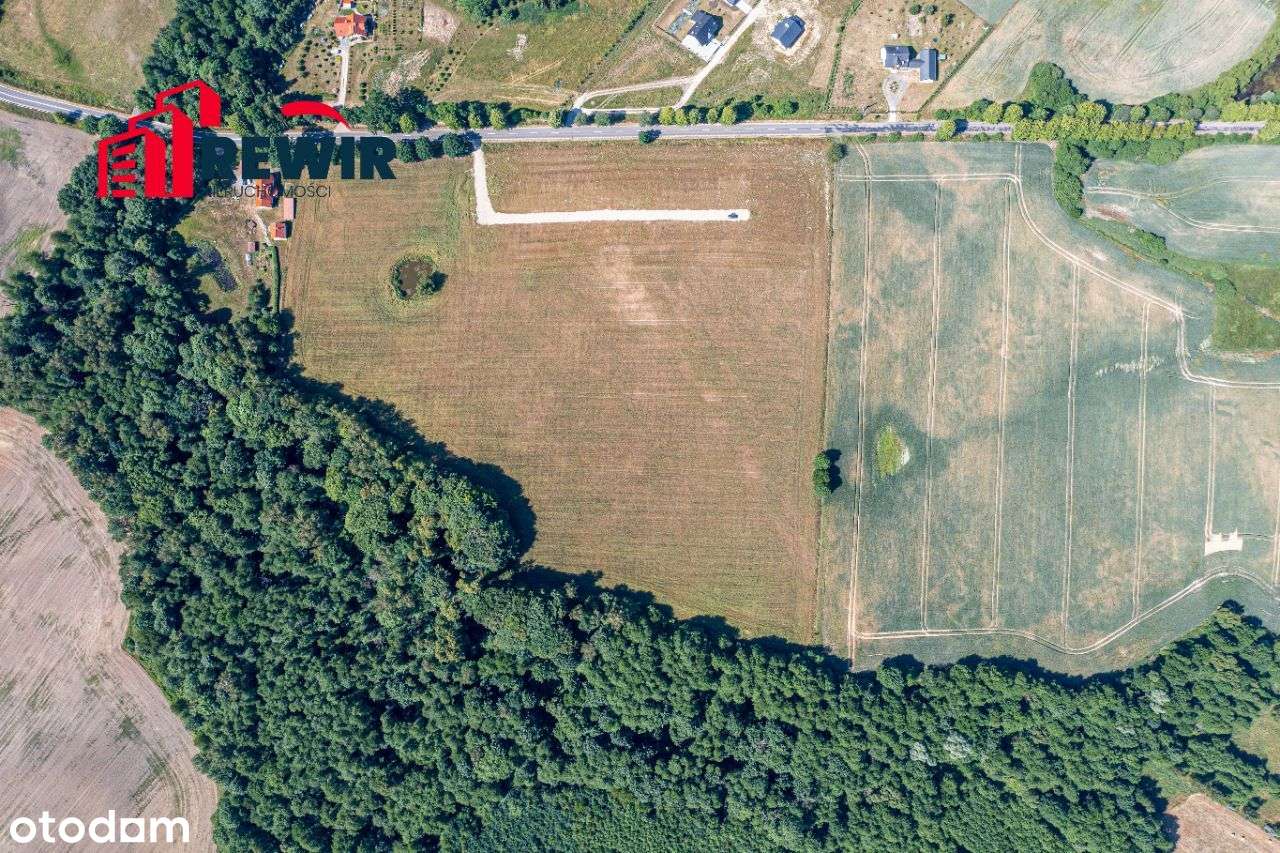 Działki budowlane w Sierpinie - Pełny obrazek: 4/9