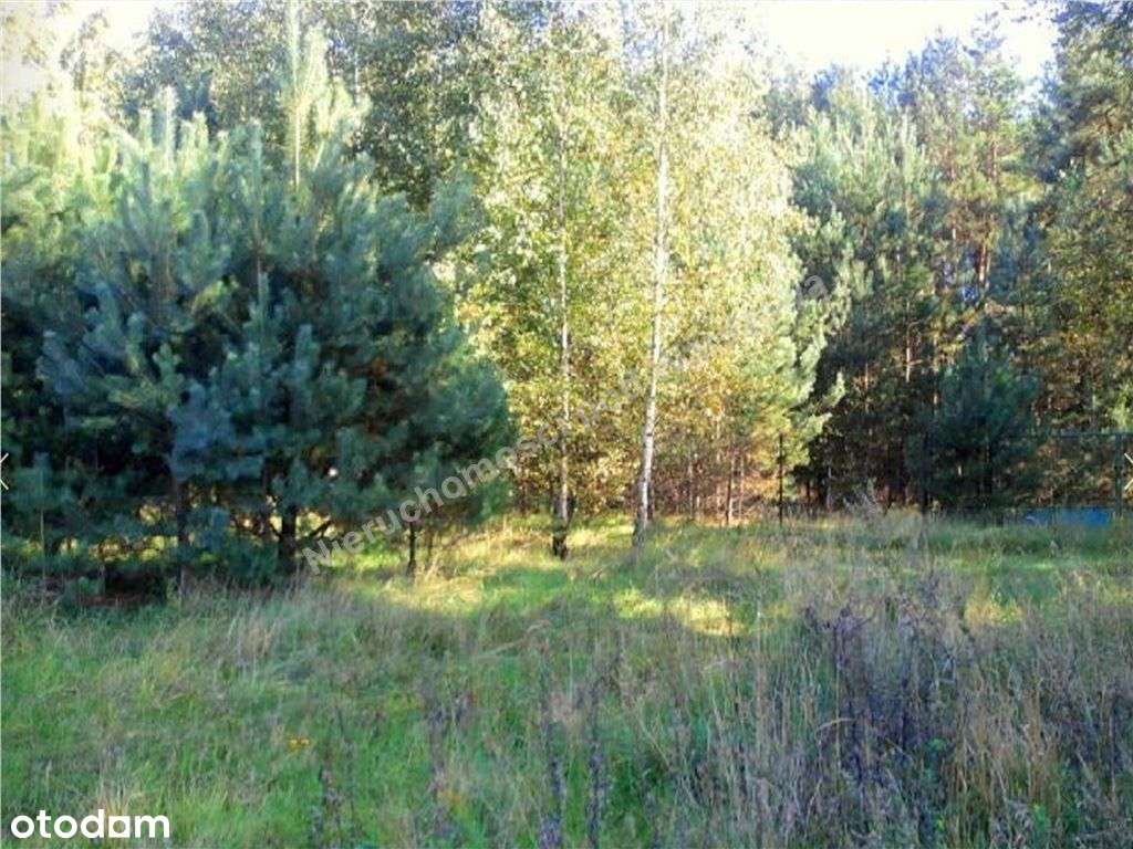 Działka Granicząca Z Lasem-0