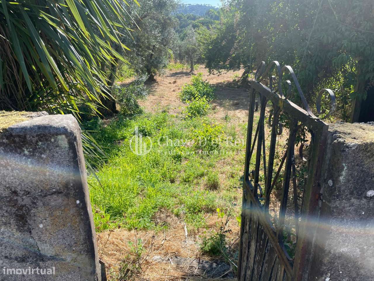 Terreno Rústico  Venda em Santar e Moreira,Nelas - Grande imagem: 5/14