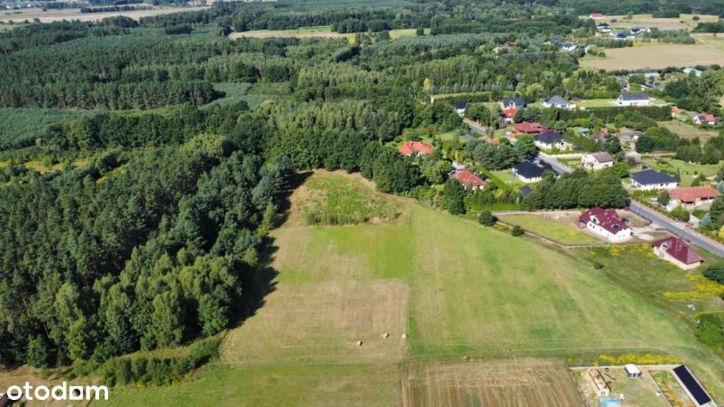 DUŻA DZIAŁKA PRZY LESIE - Pełny obrazek: 5/6