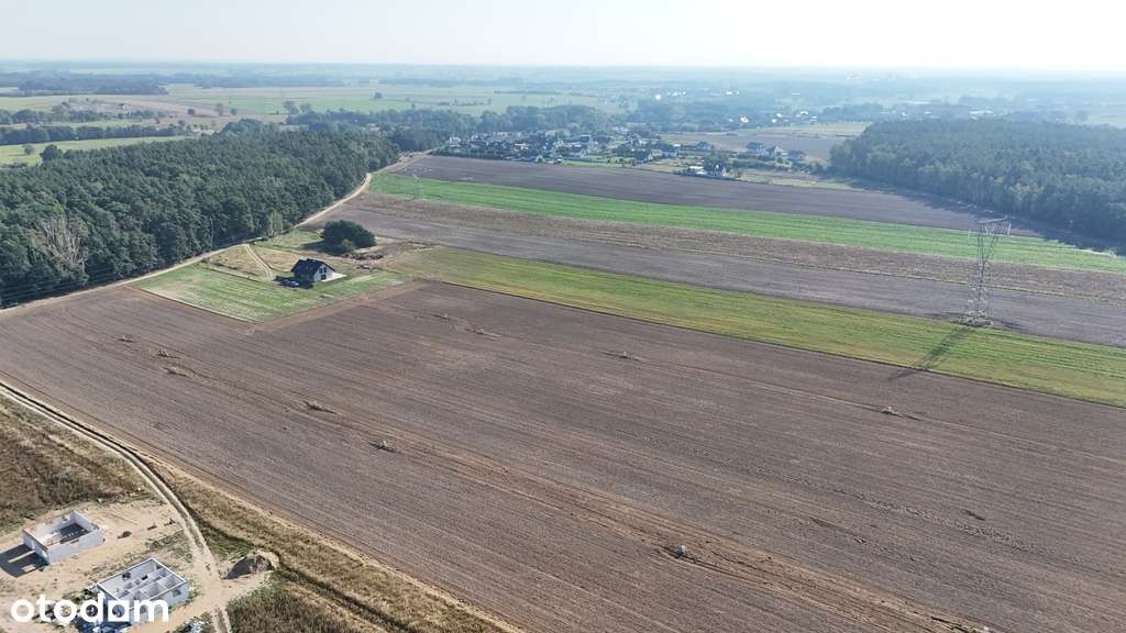 Piękne działki pod lasem w Żarowie! - Pełny obrazek: 2/3