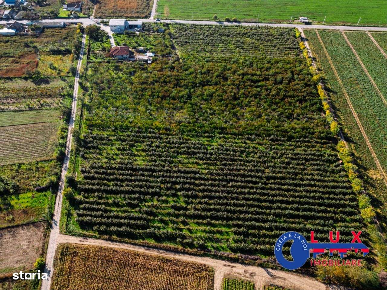 ID 7785 Livada Sabangia DE VÂNZARE - EXCLUSIVITATE LUX IMOBILIARE - Imagine principală: 5/20