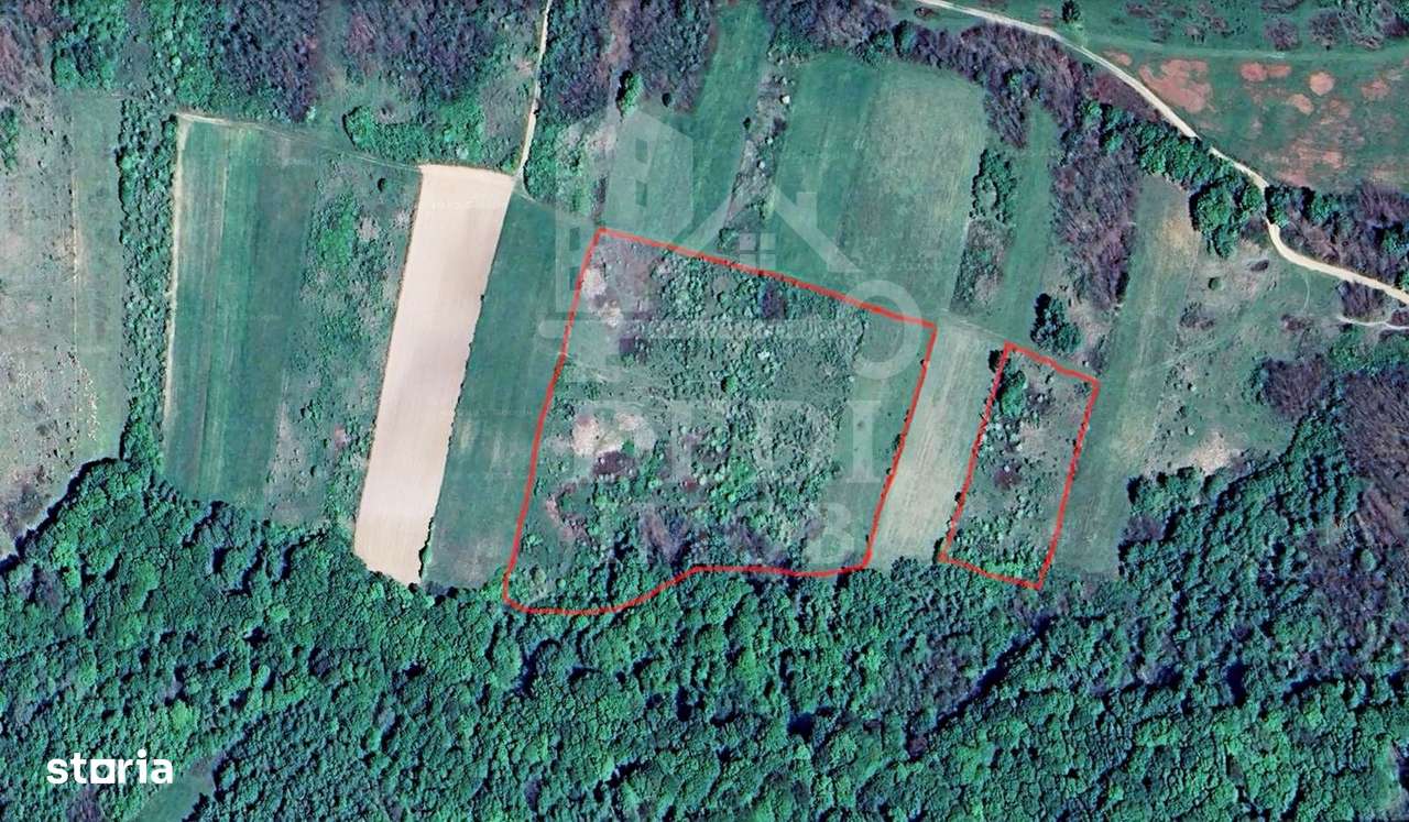 Teren 1 EURO/mp de vanzare in Tileagd-Balaia, Bihor - Imagine principală: 2/3