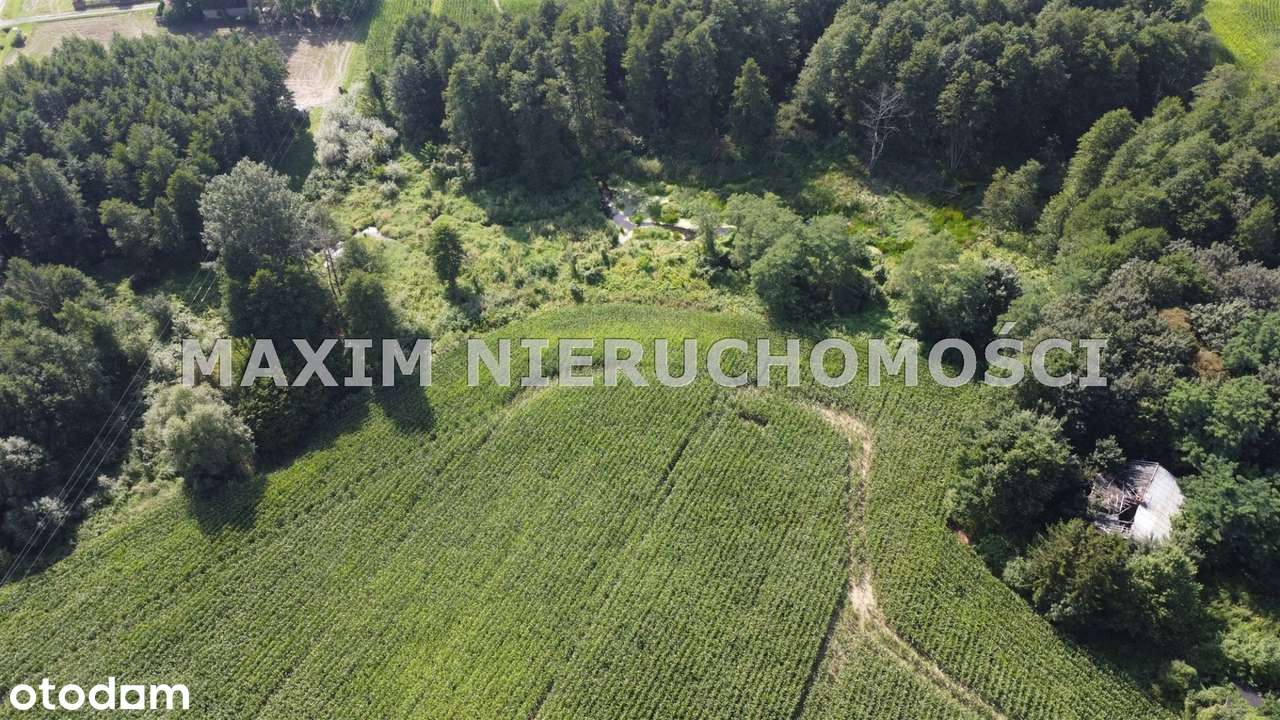Działki z WZ nad rzeką Miszewko gm.Bodzanów - View 2