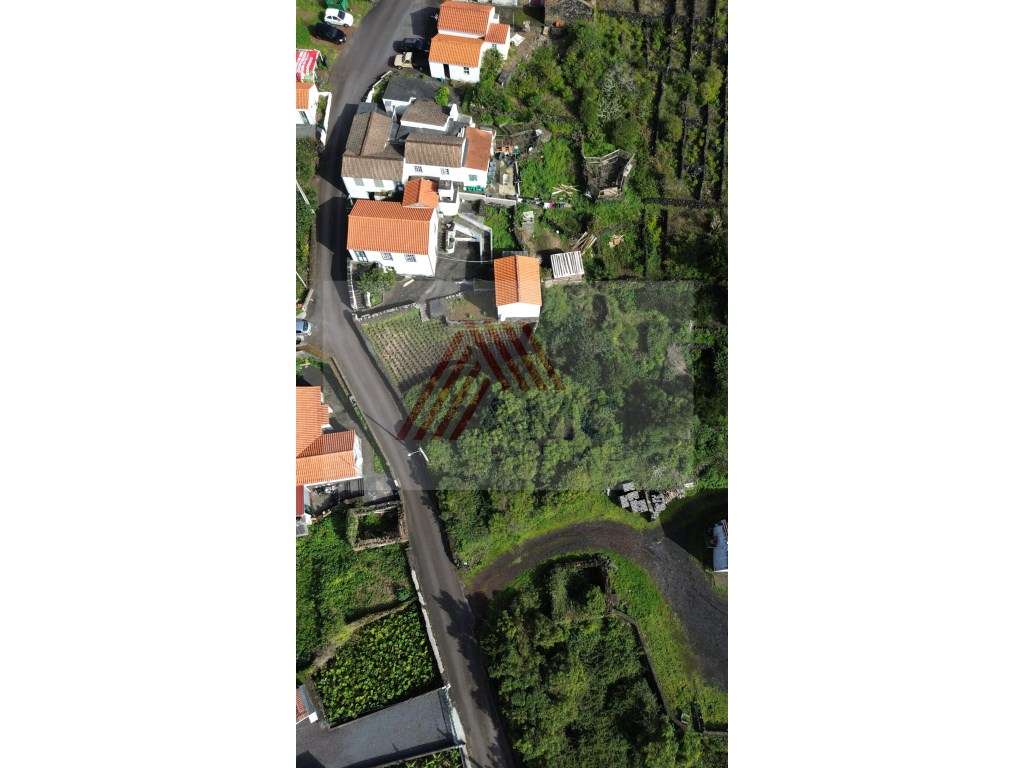 Terreno c/Viabilidade Construção, Candelária, Madalena Pico - Grande imagem: 2/11