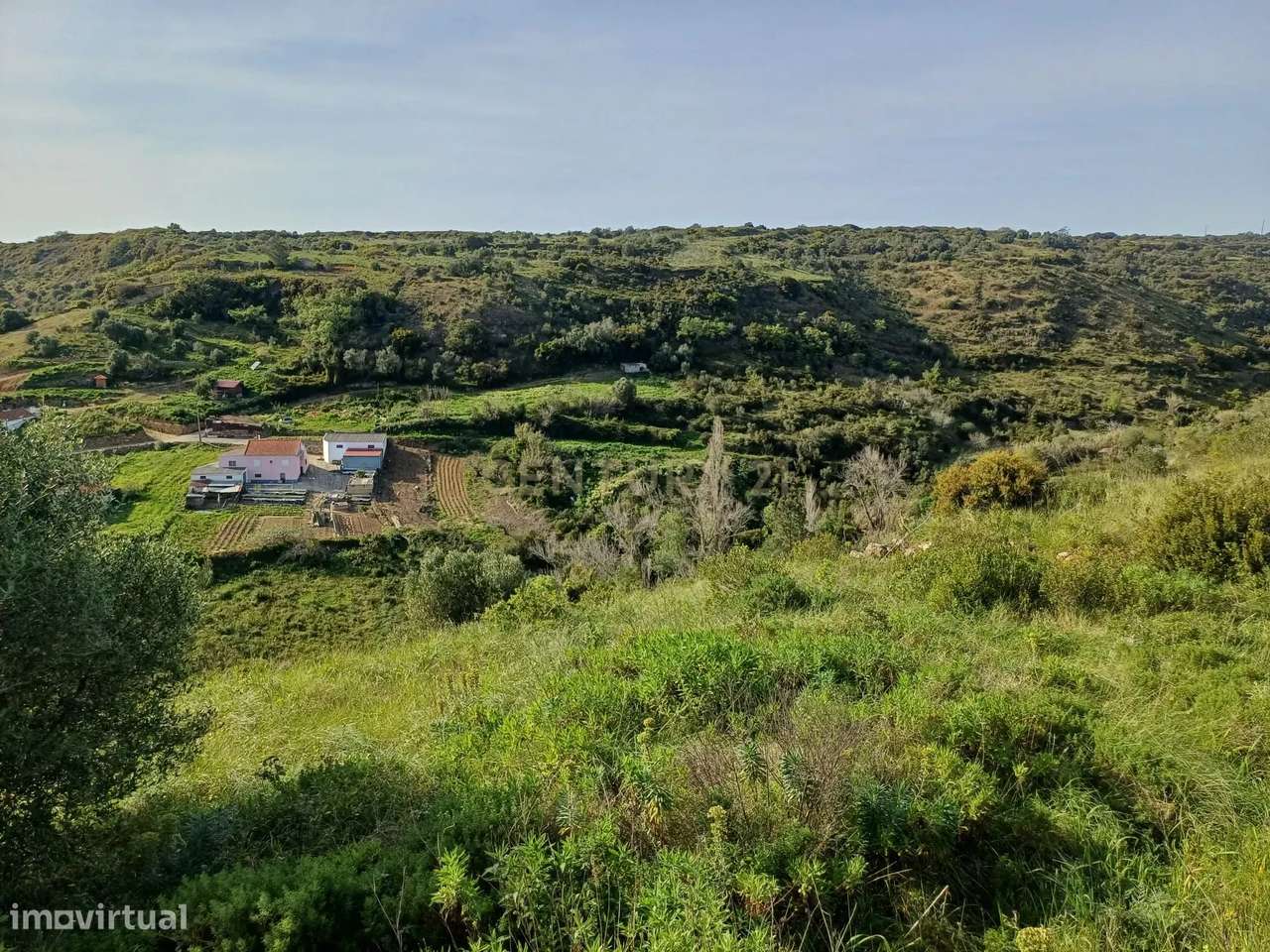 Terreno rustico no Carvalhal com 1800 m2 - Grande imagem: 4/7