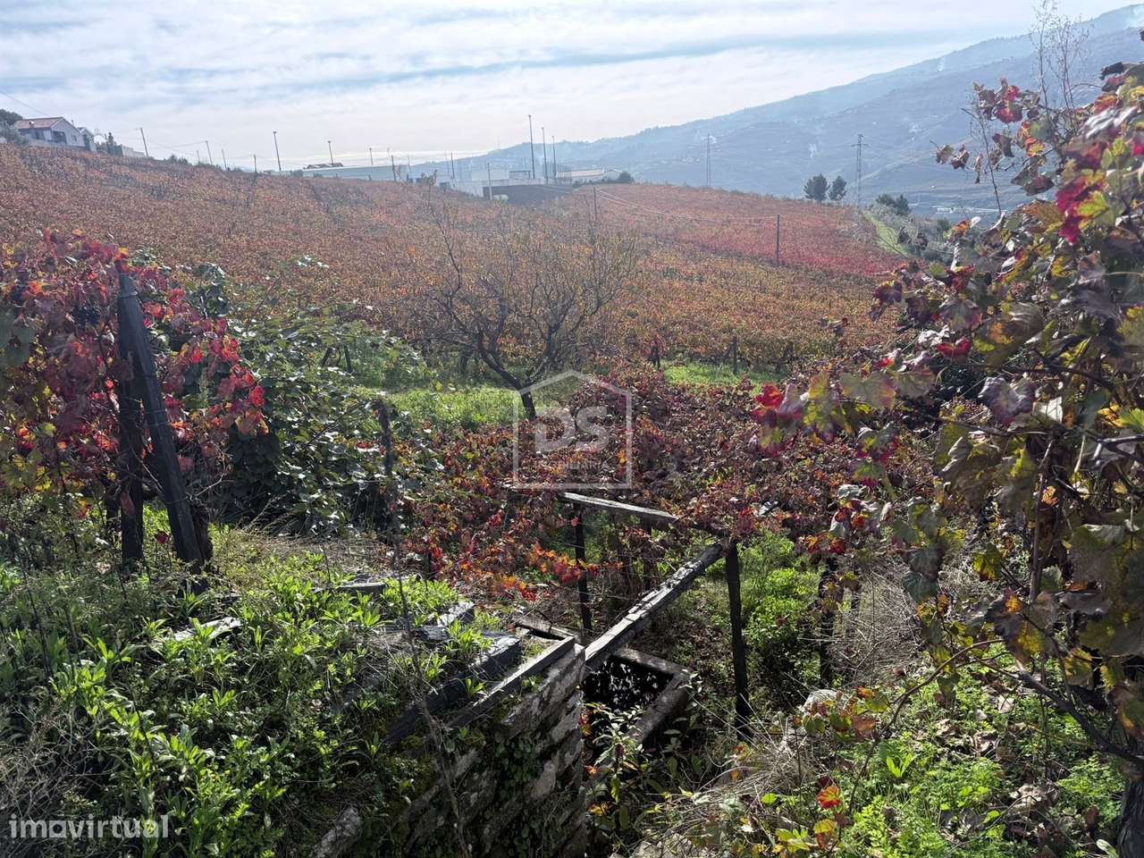 Quinta T4 Venda em Fontelas,Peso da Régua-23