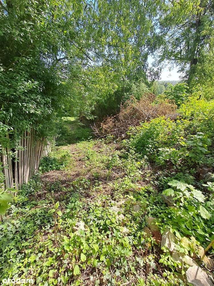 Cierzpięty, dz. 59/10, gm. Orzysz-8