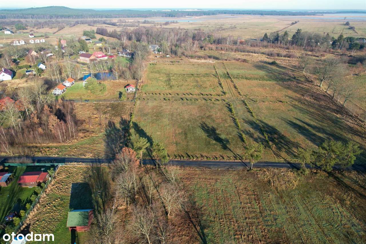 Smołdziński Las, działka - Pełny obrazek: 2/6