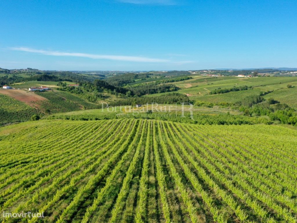 Terreno com 12 ha com viabilidade de construção a 20 km d...