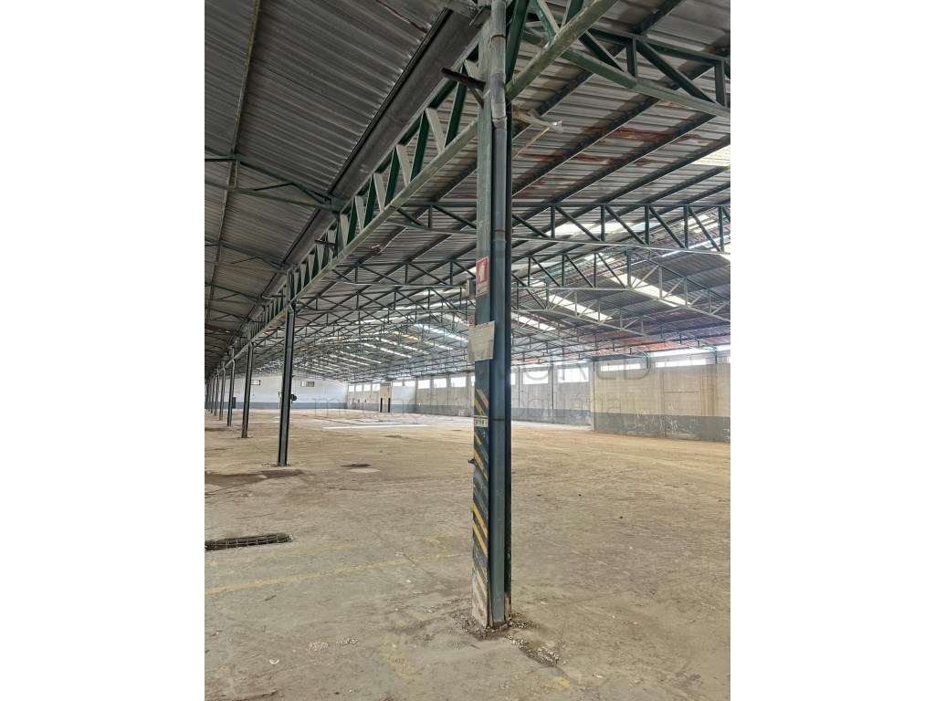 Armazém Industrial, Z. Industrial Torres Novas - Santarém, 12.056 m2-11