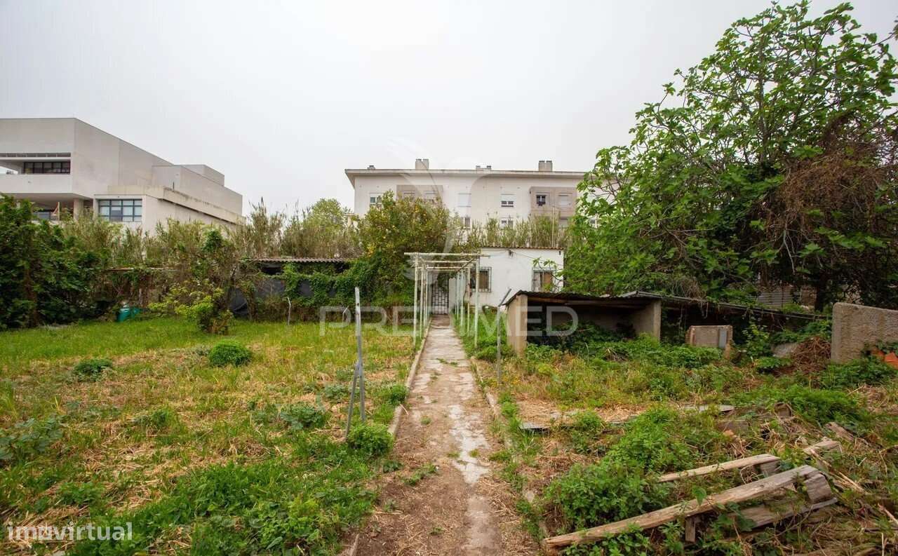 Terreno Ajuda - Grande imagem: 5/6