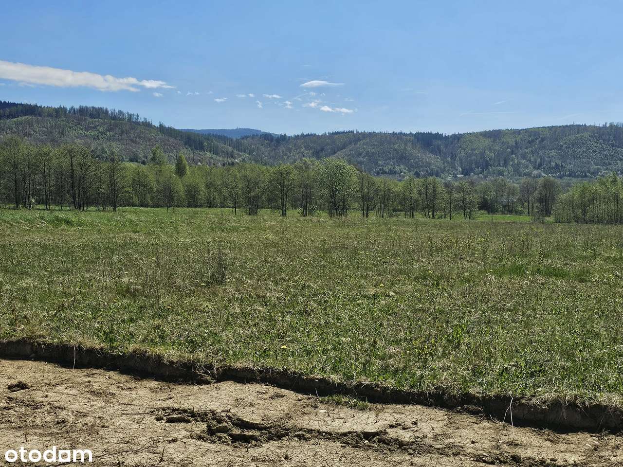 Niezalewowa Działka Budowlana w Gajniku pod Snieżnikiem WIDOKOWA! - Pełny obrazek: 4/16