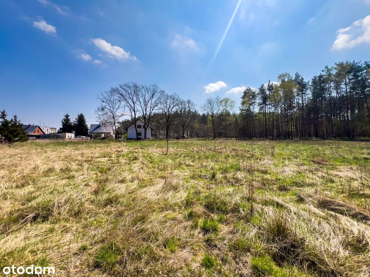 3 działki budowlane przy ul. Osiedlowej w Dobrej –powierzchnia 3050 m² - Pełny obrazek: 5/9