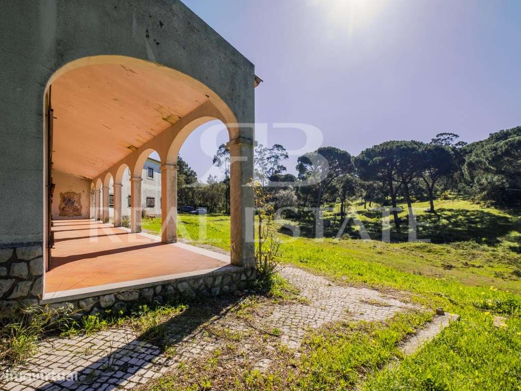 COUNTRY COTTAGE | Sesimbra-45