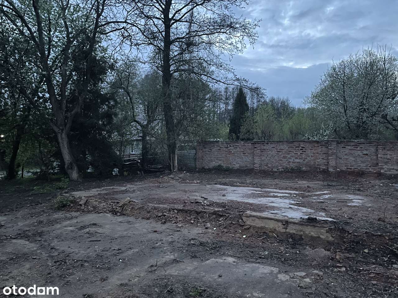 Dom i działka - Sadków gm. Dobroszyce. W okolicy Las, Oleśnica. - Pełny obrazek: 4/19