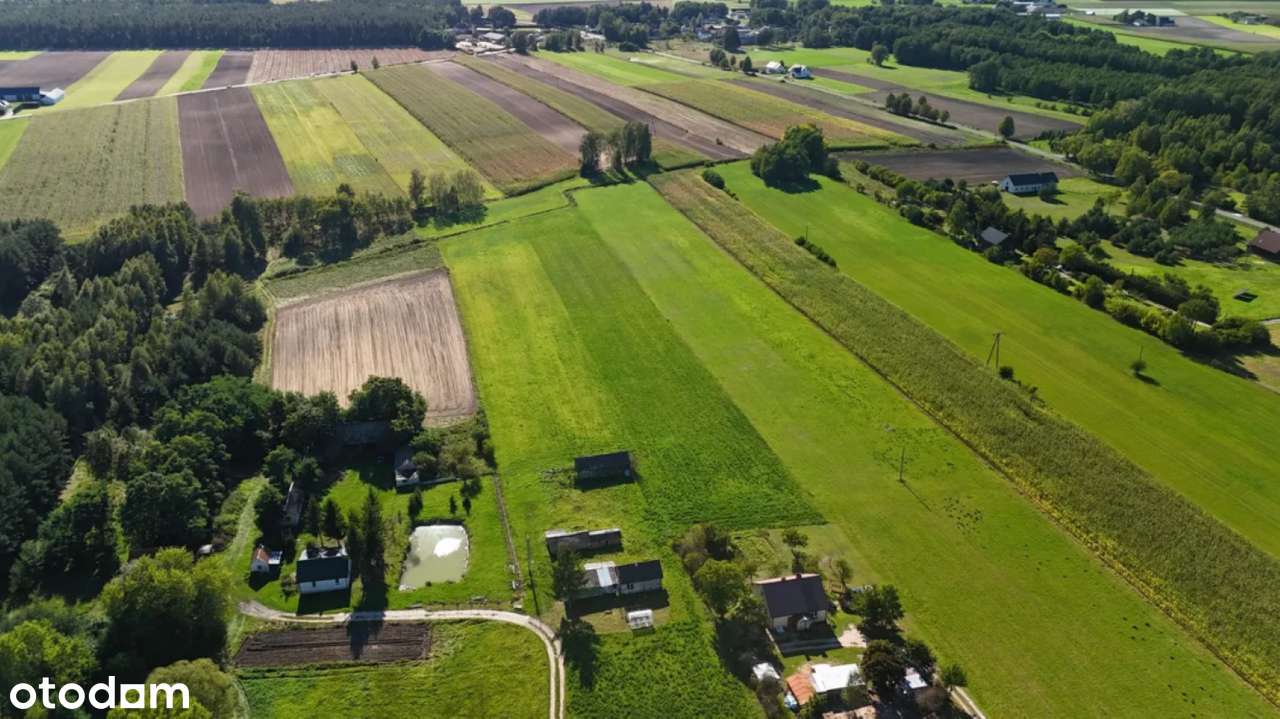 Działka 3000m2; Zambrów; ul. Stokrotki - Pełny obrazek: 4/15