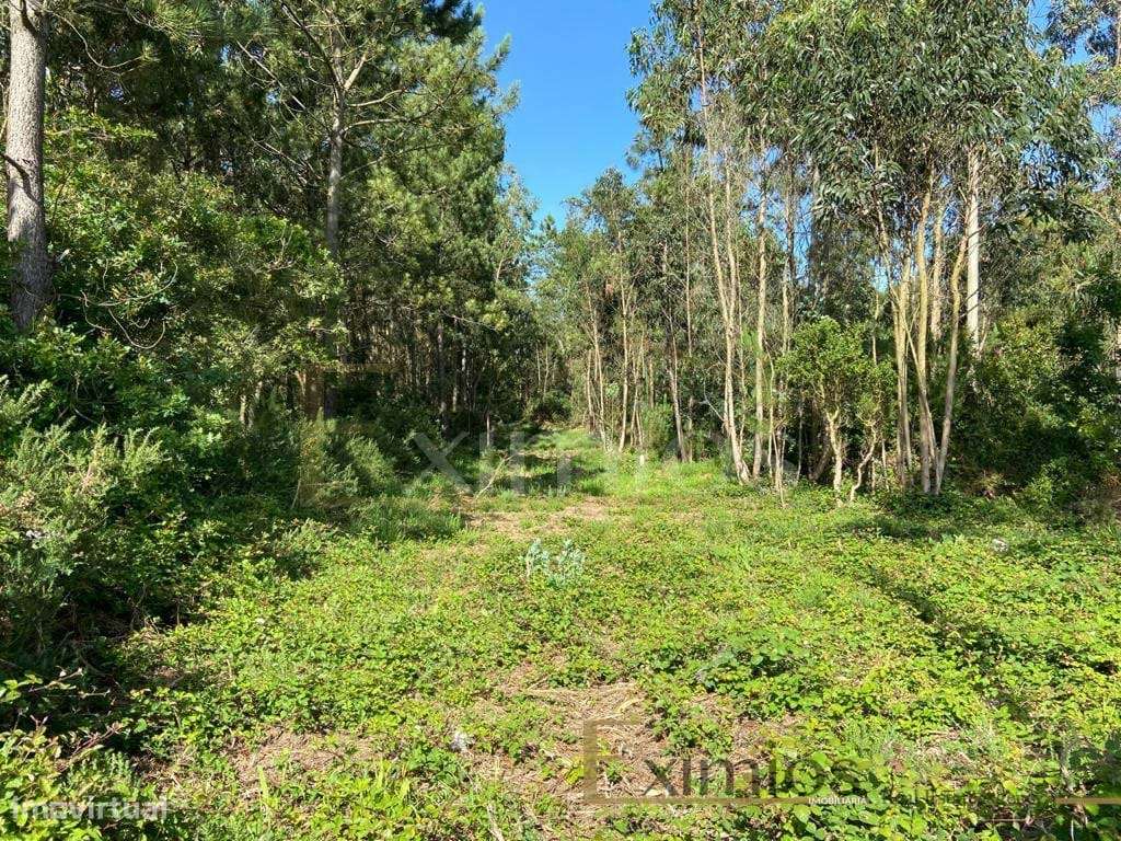 Venda de Terreno em Labruge, a 800 m da praia - Grande imagem: 3/7