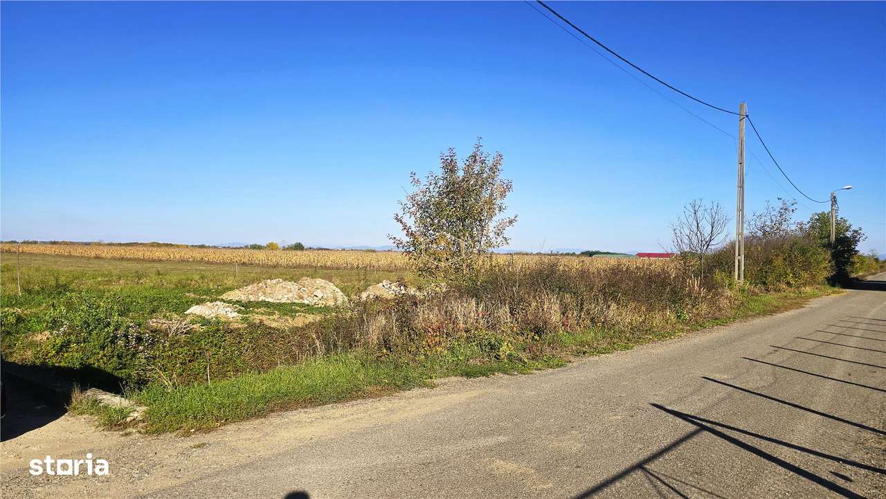 VIDEO | Teren 694 mp cu dubla deschidere - Lucian Blaga | Investitie-7