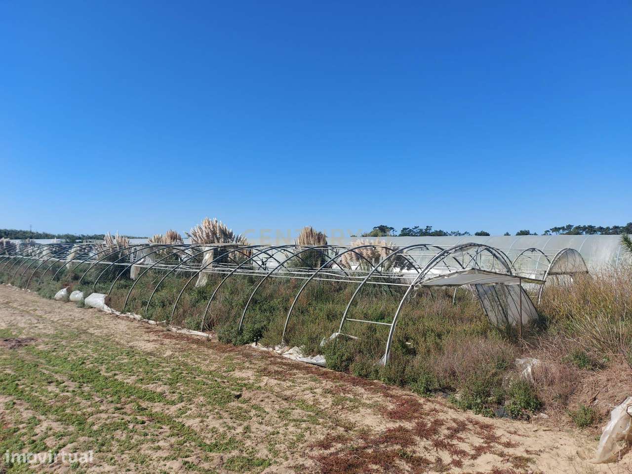 Terreno Rustico em Estela Maninho - Grande imagem: 4/7