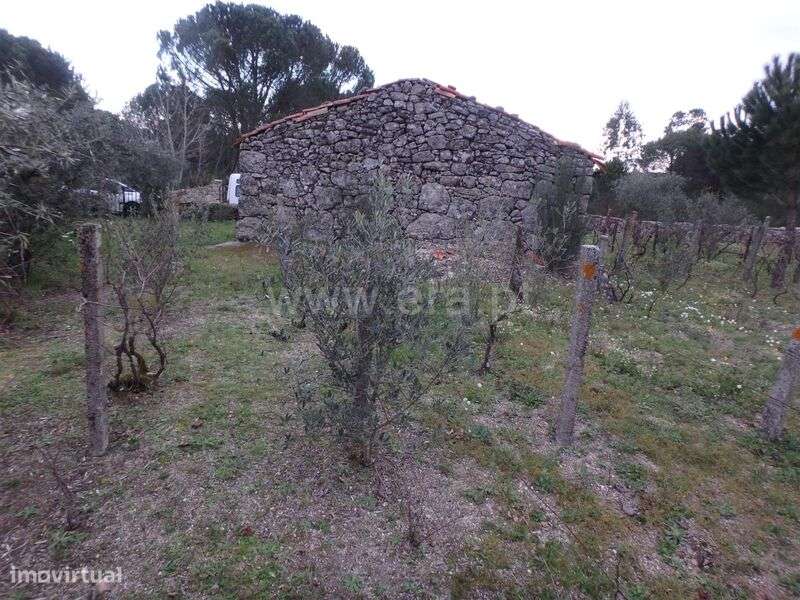 Quinta Estúdio / Seia, Santa Marinha e São Martinho - Grande imagem: 5/18